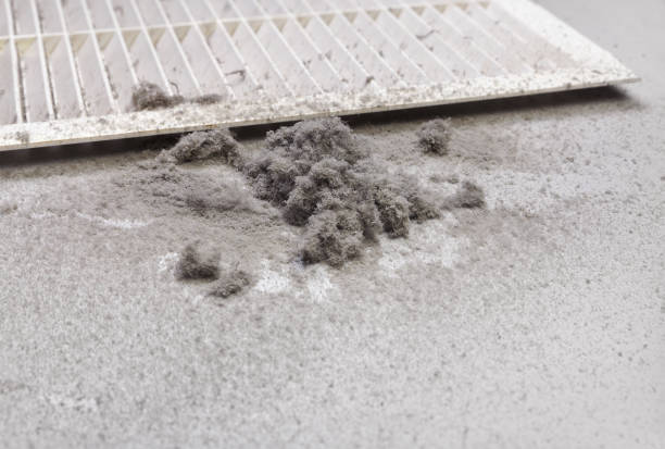 Best Commercial Air Duct Cleaning  in St Michaels, MD