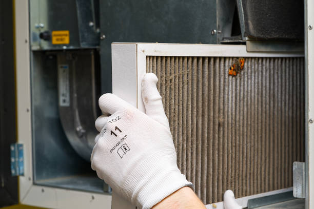 Best HVAC System Cleaning  in St Michaels, MD